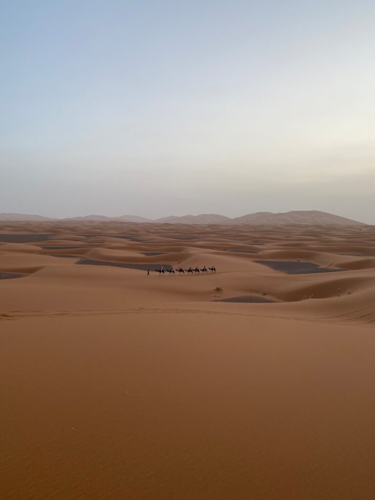 a group of people riding camels across a desert